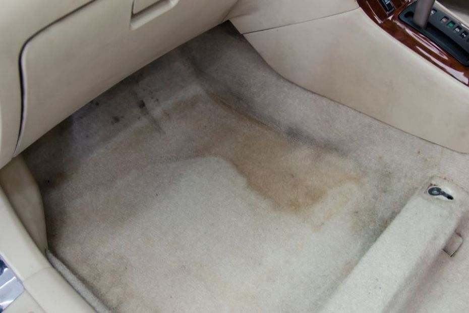 Professional Automotive Carpet Dyeing 1