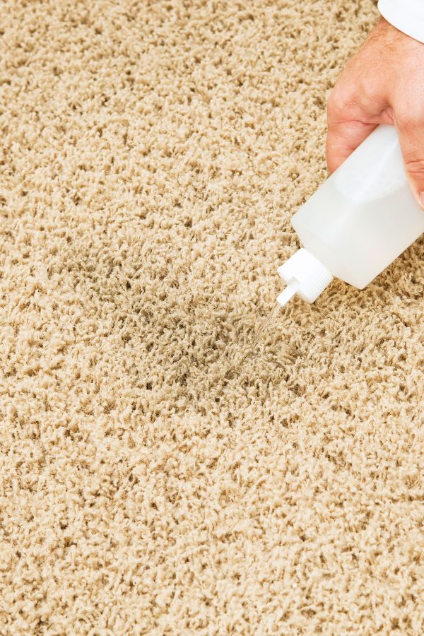 Carpet Dyeing in Hudson MA