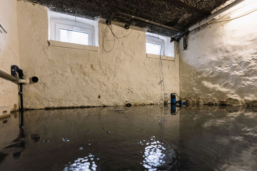 Professional Water remediation 1